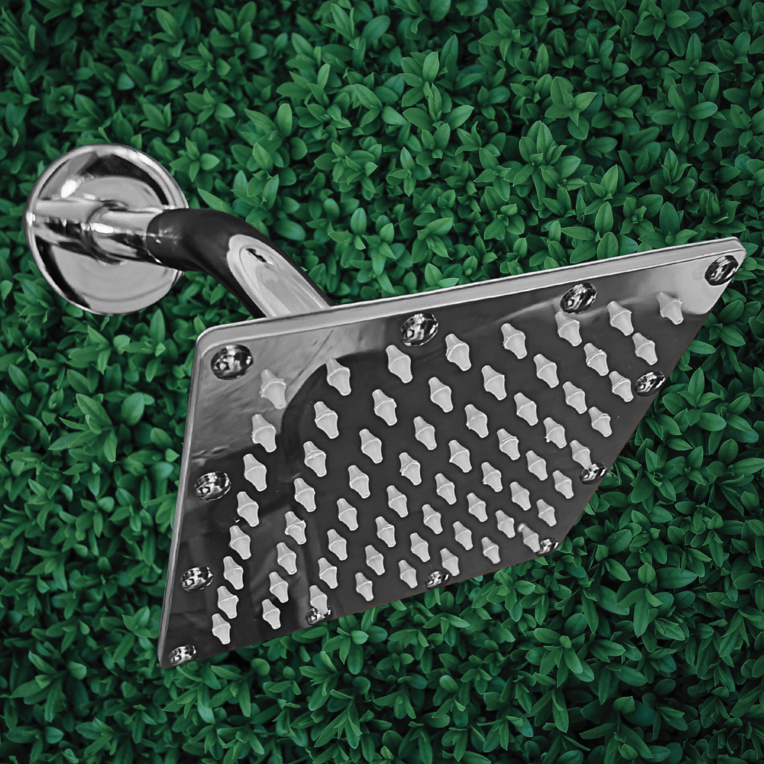 Premium SS Sandwich Shower