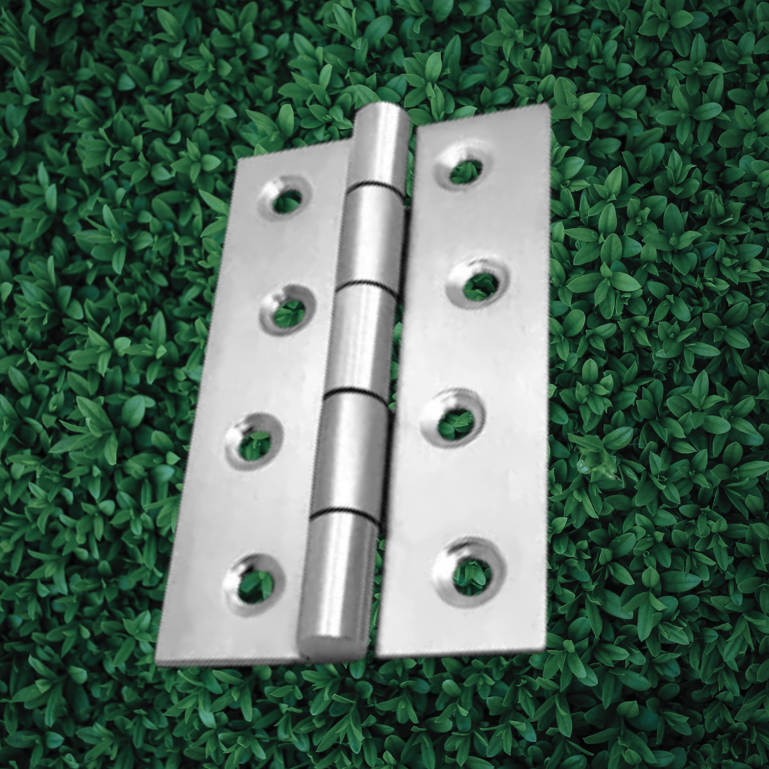 Stainless Steel Hinges