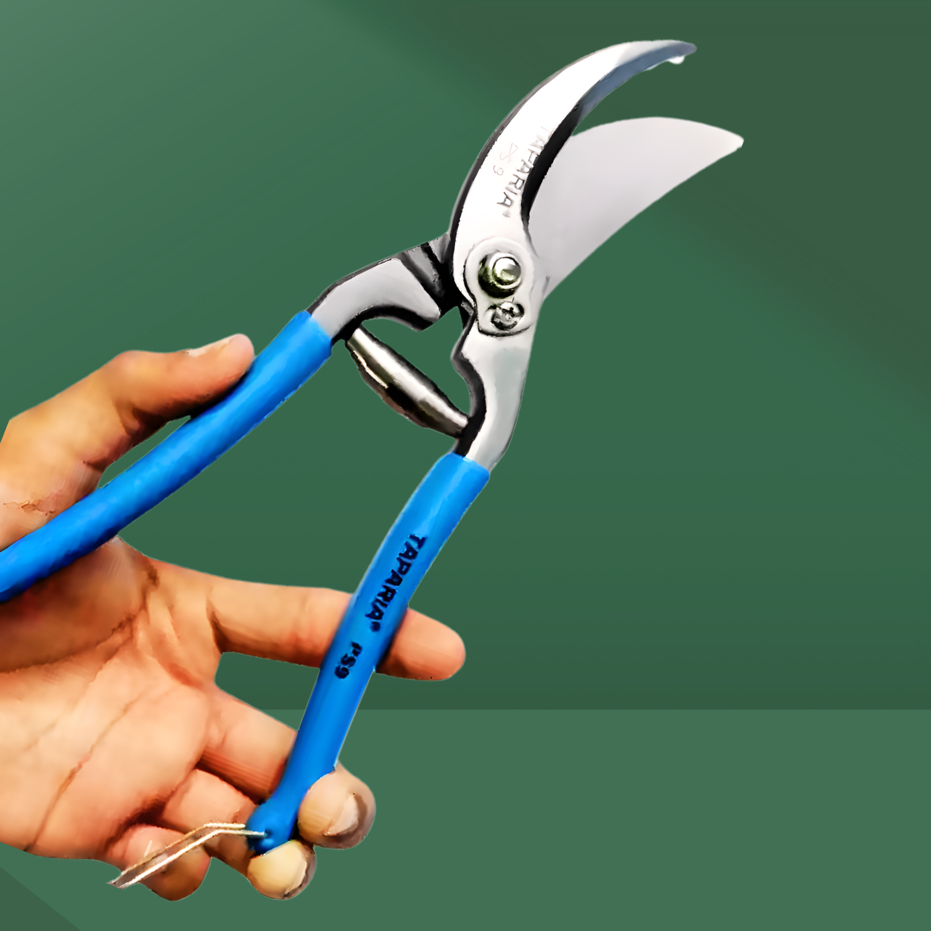 Garden Plant Trimmers – KC 227