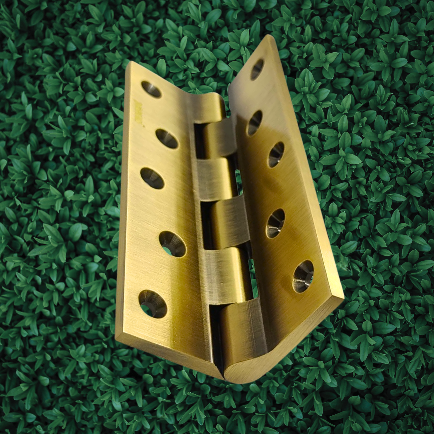 Premium Brass Railway Hinges